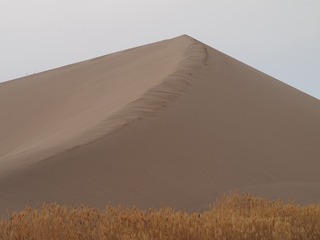 P1304539