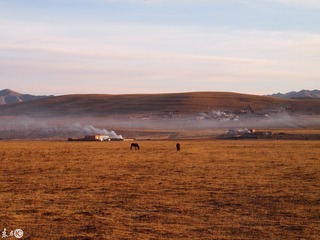 P2091822