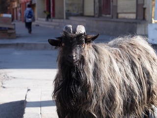 P2102067