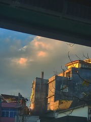 272772