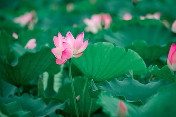 2F64F7AD-6596-415C-BD09-6B60D06871B6/L0/001
