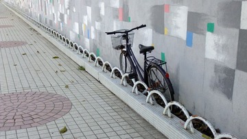 DSCF8206.JPG