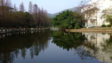 DSCF8264.JPG