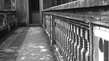 DSCF8340.JPG