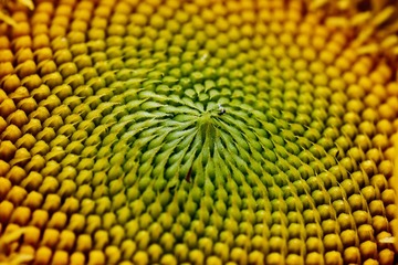 A6FE65A3-6450-45CC-989B-8F0598F1DA3D/L0/001
