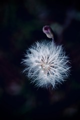 C997C1F7-B04C-48D9-AC6D-ACFB79B3C4AA/L0/001