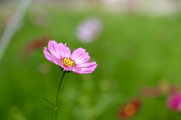 B3F57B29-5C3B-4C41-BFD8-19D2E7191D29/L0/001