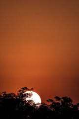 83550091-CA9C-48AB-93BF-4B5AAB9EA6C3/L0/001