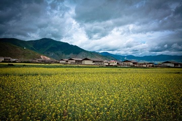 Travelling to yunan-56.jpg
