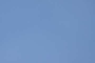 IMG_1529.jpg