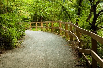 Revised_IMG-2556.jpg
