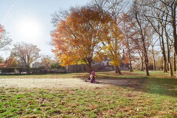 IMG_0378.jpg