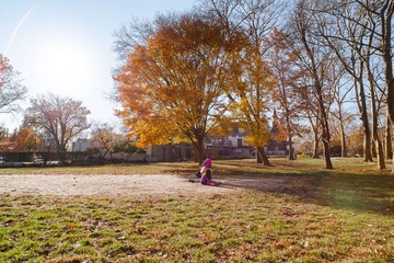 IMG_0378.jpg