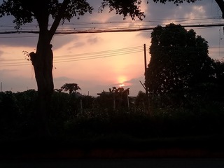 1301460