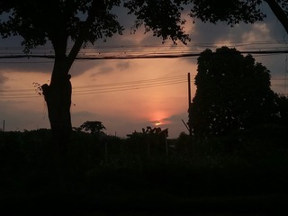 1301461