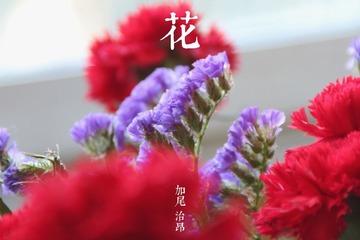 IMG_0390.jpg