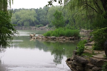 IMGP1529.JPG
