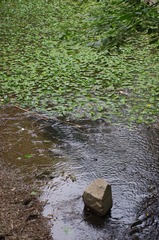 IMGP1530.JPG