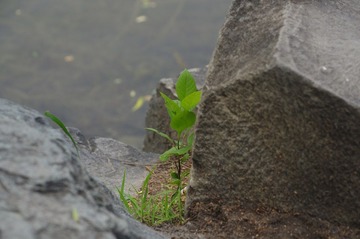 IMGP1523.JPG