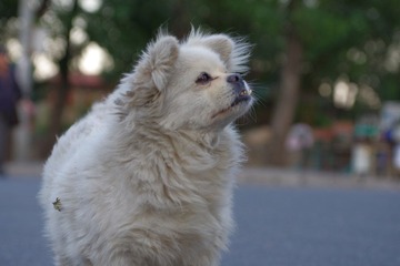 IMGP2781.JPG
