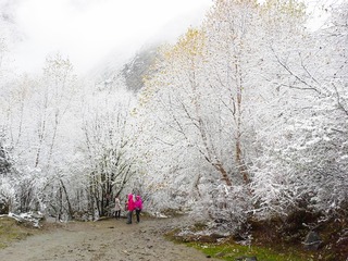 20141102_091159