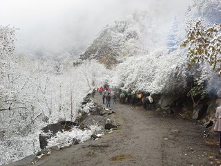 20141102_092941