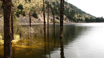 IMG_4453.JPG