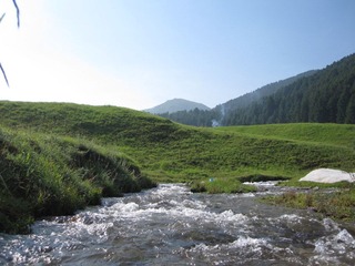 IMG_1677.JPG