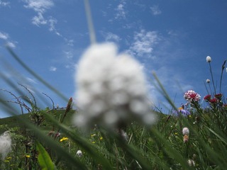 IMG_1706.JPG