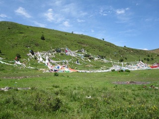 IMG_1707.JPG