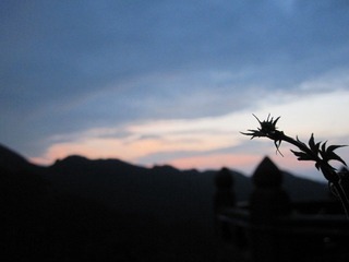 IMG_2832.JPG