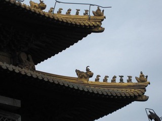 IMG_2914.JPG