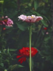 456184F1-2BB8-4BCD-AF1E-D8A20D99336D/L0/001
