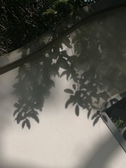 3598392