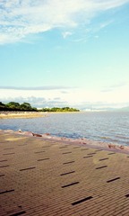 A6DE5814-E64F-4A23-BD3B-E6DA96D8A45F/L0/001