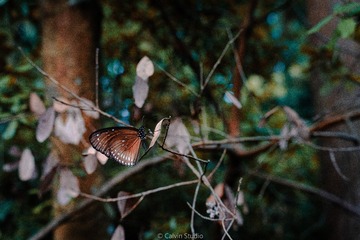 D6D04F27-5346-4872-AD25-B3C71CAD1C85/L0/001