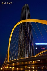 大沽桥&津塔.jpg