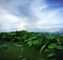 3FA8617B-7D2D-4AA5-9BD9-93543ED9C2BB/L0/001