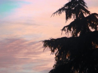 2011262