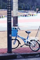 和山广场的小自行车.jpg