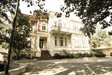 IMG_8700.jpg