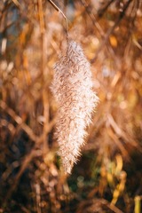 57253F2D-1F2E-44FD-9048-F02958FA4FE6/L0/001