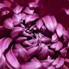 35E4B809-499B-4EFA-A866-911BD7A64E01/L0/001
