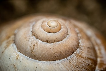 6CB0F1F6-D160-4BFD-B93F-E9A16538691E/L0/001