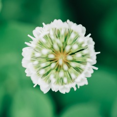 BB10B095-D7D2-4151-BFC2-496ED8C08589/L0/001