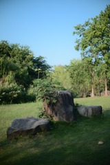 CEDAFB0B-F502-4094-98AF-C14DA9F96370/L0/001