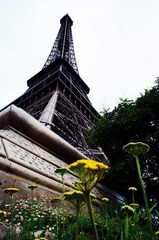 dsc01361_副本.jpg
