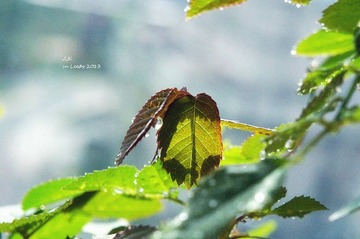 DSC03402_副本.jpg