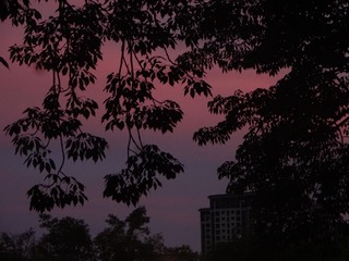 11119