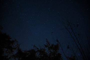 _DSC8390.jpg